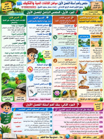 ملخص_اول_3_فصول_للصف_الرابع_الابتدائي.pdf